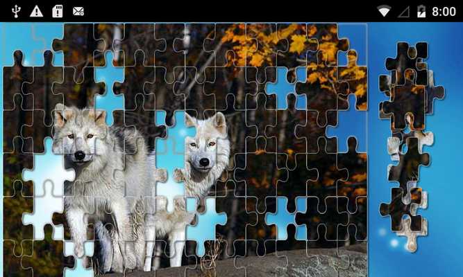 Emulate Android APK Puzzles the world Emulate Android APK Puzzles the world