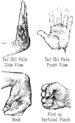 Emulate Android APK Qi gong Exercise Tutorial