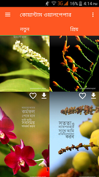 Run android online APK Quantum Wallpaper from MyAndroid or emulate Quantum Wallpaper using MyAndroid