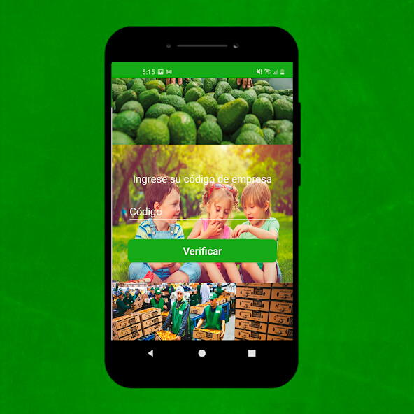 Run android online APK Quipusol from MyAndroid or emulate Quipusol using MyAndroid