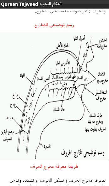 Run android online APK Quran Tajweed ????? ?????? from MyAndroid or emulate Quran Tajweed ????? ?????? using MyAndroid Run android online APK Quran Tajweed ????? ?????? from MyAndroid or emulate Quran Tajweed ????? ?????? using MyAndroid