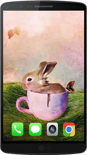 Run android online APK Rabbit Best HD Walpaper from MyAndroid or emulate Rabbit Best HD Walpaper using MyAndroid Run android online APK Rabbit Best HD Walpaper from MyAndroid or emulate Rabbit Best HD Walpaper using MyAndroid