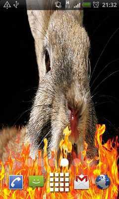 Emulate Android APK Rabbit Funny Live Wallpaper Emulate Android APK Rabbit Funny Live Wallpaper