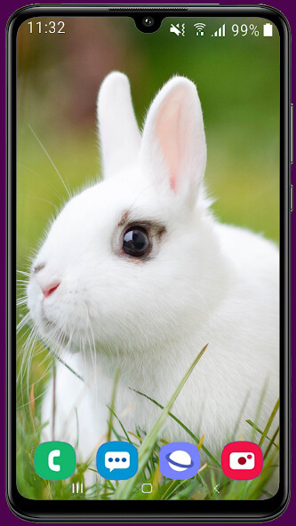Run android online APK Rabbit HD Wallpaper from MyAndroid or emulate Rabbit HD Wallpaper using MyAndroid