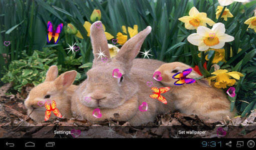 Run android online APK Rabbit Live Wallpaper - Screen Lock, Sensor, Auto from MyAndroid or emulate Rabbit Live Wallpaper - Screen Lock, Sensor, Auto using MyAndroid Run android online APK Rabbit Live Wallpaper - Screen Lock, Sensor, Auto from MyAndroid or emulate Rabbit Live Wallpaper - Screen Lock, Sensor, Auto using MyAndroid