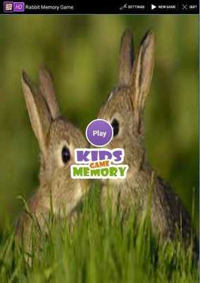 Emulate Android APK Rabbit Memory Game