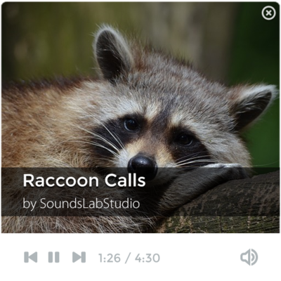 Emulate Android APK Raccoon Calls Emulate Android APK Raccoon Calls