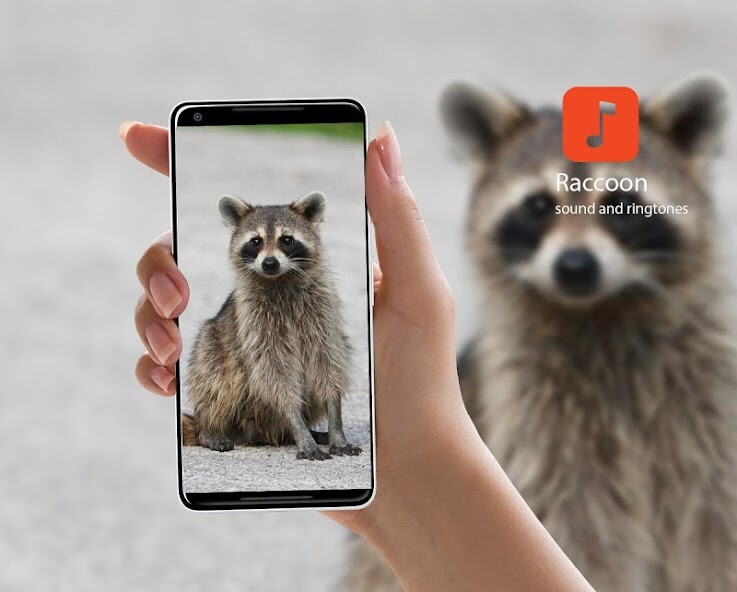 Run android online APK Raccoon Sound Effects from MyAndroid or emulate Raccoon Sound Effects using MyAndroid Run android online APK Raccoon Sound Effects from MyAndroid or emulate Raccoon Sound Effects using MyAndroid