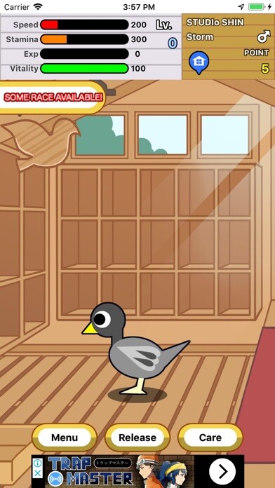 Emulate iPhone app Race Pigeon using MyAndroid