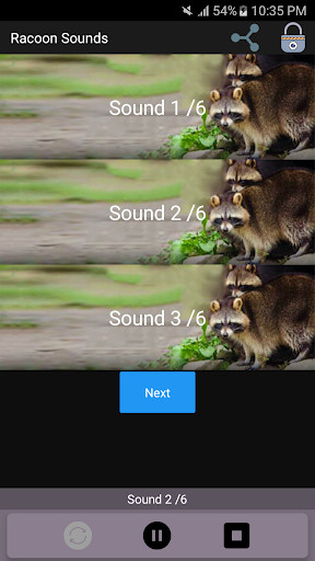 Run android online APK Racoon Sounds from MyAndroid or emulate Racoon Sounds using MyAndroid Run android online APK Racoon Sounds from MyAndroid or emulate Racoon Sounds using MyAndroid