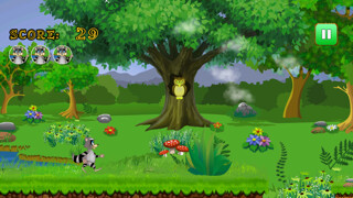 Emulate iPhone app Racoon Voyage Race : Raccoon Animal vs. Panda and Owls using MyAndroid