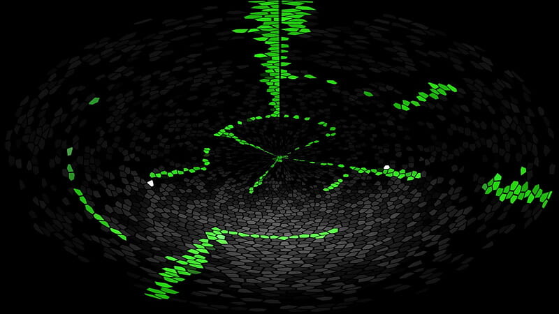 Run android online APK Radar of people from MyAndroid or emulate Radar of people using MyAndroid Run android online APK Radar of people from MyAndroid or emulate Radar of people using MyAndroid