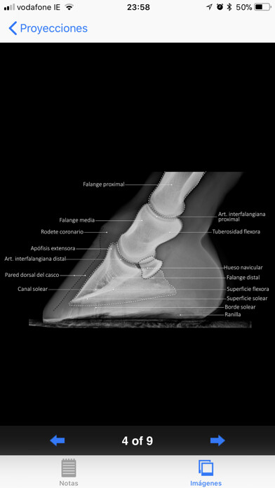Emulate iPhone app Radiología equina using MyAndroid Emulate iPhone app Radiología equina using MyAndroid