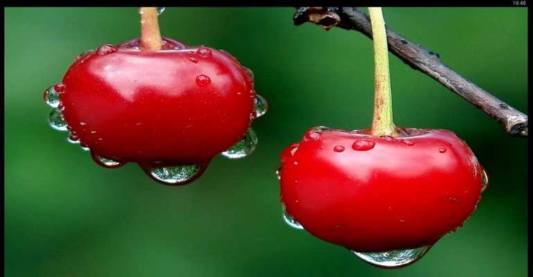 Emulate Android APK Raindrops On Fruits Wallpaper
