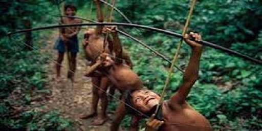 Run android online APK Rainforest project Mihail from MyAndroid or emulate Rainforest project Mihail using MyAndroid