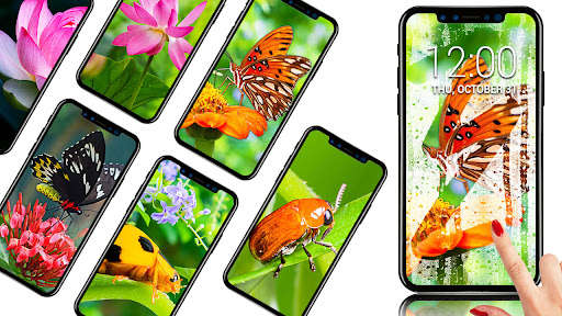 Run android online APK Rain Live Wallpaper & Rain bgs from MyAndroid or emulate Rain Live Wallpaper & Rain bgs using MyAndroid Run android online APK Rain Live Wallpaper & Rain bgs from MyAndroid or emulate Rain Live Wallpaper & Rain bgs using MyAndroid
