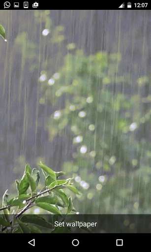 Run android online APK Rain Live Wallpapers from MyAndroid or emulate Rain Live Wallpapers using MyAndroid