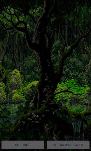 Run android online APK Rainy Forest Live Wallpaper from MyAndroid or emulate Rainy Forest Live Wallpaper using MyAndroid