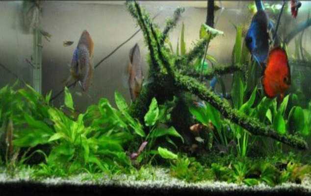 Emulate Android APK Rainy Paris Keyboard Theme