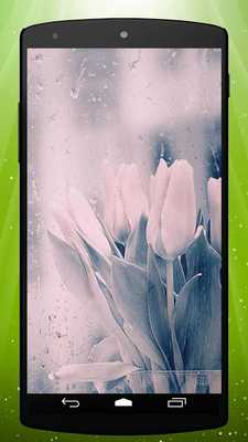 Emulate Android APK Rainy Tulips Live Wallpaper Emulate Android APK Rainy Tulips Live Wallpaper