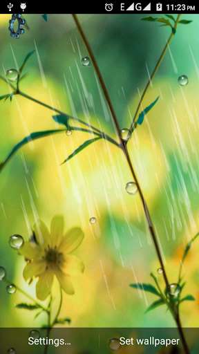 Run android online APK rainy water drops wallpaper from MyAndroid or emulate rainy water drops wallpaper using MyAndroid