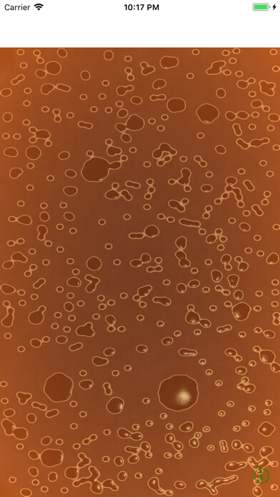 Emulate iPhone app Ramen Soup Simulator using MyAndroid