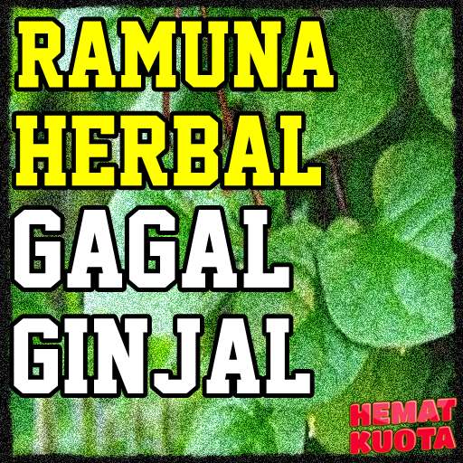 Run android online APK Ramuan Herbal Gagal Ginjal from MyAndroid or emulate Ramuan Herbal Gagal Ginjal using MyAndroid