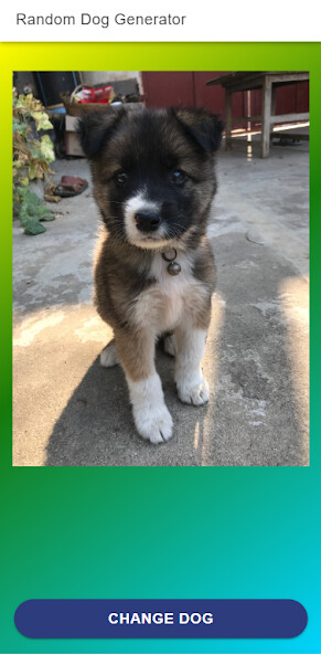 Run android online APK Random Dog: Laugh with dogs from MyAndroid or emulate Random Dog: Laugh with dogs using MyAndroid Run android online APK Random Dog: Laugh with dogs from MyAndroid or emulate Random Dog: Laugh with dogs using MyAndroid