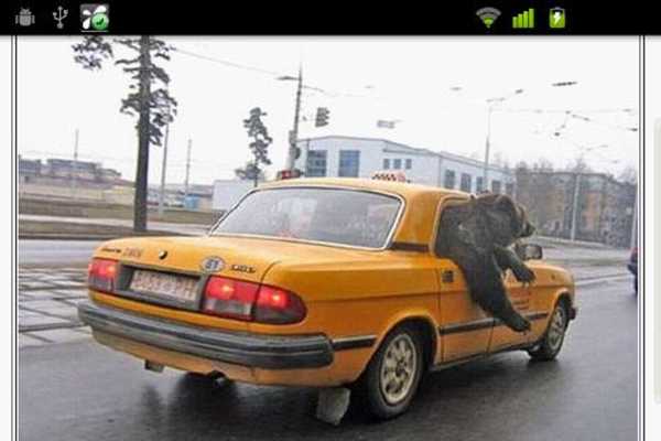 Emulate Android APK Random Funny Picture Emulate Android APK Random Funny Picture