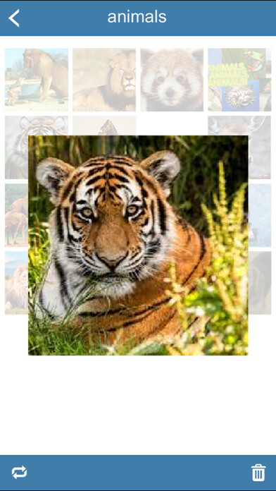 Emulate iPhone app Random Image Select using MyAndroid Emulate iPhone app Random Image Select using MyAndroid