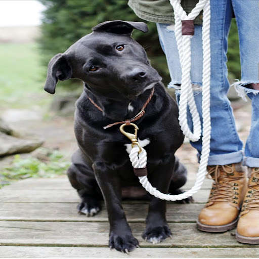 Run android online APK RA-pet from MyAndroid or emulate RA-pet using MyAndroid Run android online APK RA-pet from MyAndroid or emulate RA-pet using MyAndroid