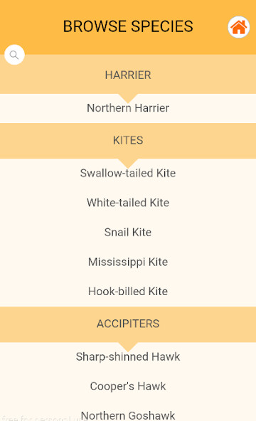 Run android online APK Raptor ID from MyAndroid or emulate Raptor ID using MyAndroid Run android online APK Raptor ID from MyAndroid or emulate Raptor ID using MyAndroid
