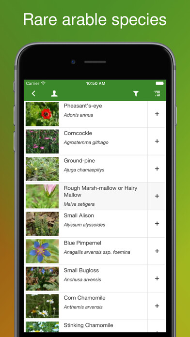 Emulate Android APK Rare Arable Flowers Emulate Android APK Rare Arable Flowers