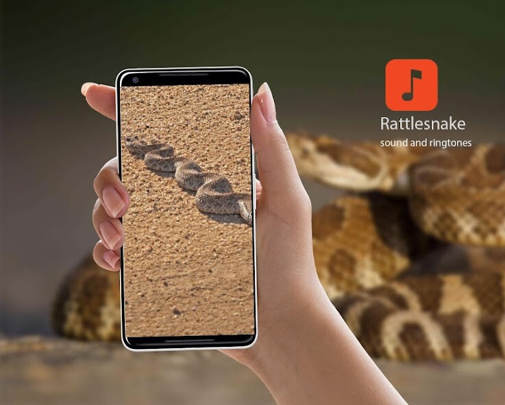 Run android online APK Rattlesnake Sound Effects from MyAndroid or emulate Rattlesnake Sound Effects using MyAndroid