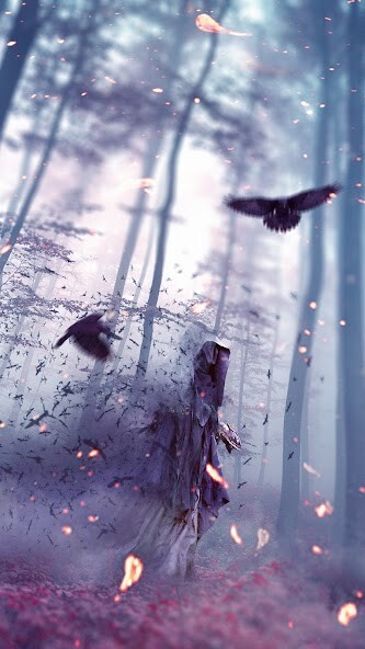 Run android online APK Raven Wallpapers from MyAndroid or emulate Raven Wallpapers using MyAndroid Run android online APK Raven Wallpapers from MyAndroid or emulate Raven Wallpapers using MyAndroid