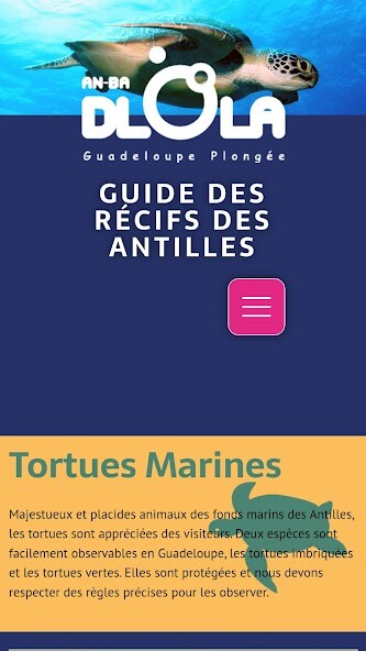 Run android online APK Récifs des Antilles from MyAndroid or emulate Récifs des Antilles using MyAndroid Run android online APK Récifs des Antilles from MyAndroid or emulate Récifs des Antilles using MyAndroid