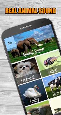 Emulate Android APK Real Animal Sounds of Wild Zoo Emulate Android APK Real Animal Sounds of Wild Zoo