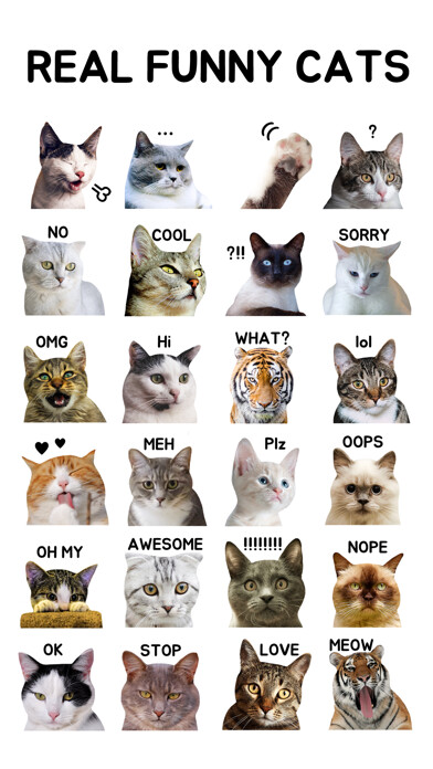 Emulate iPhone app Real Funny Cats using MyAndroid
