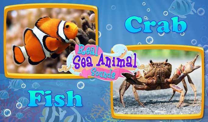 Emulate Android APK Real Sea Animal Sounds Emulate Android APK Real Sea Animal Sounds