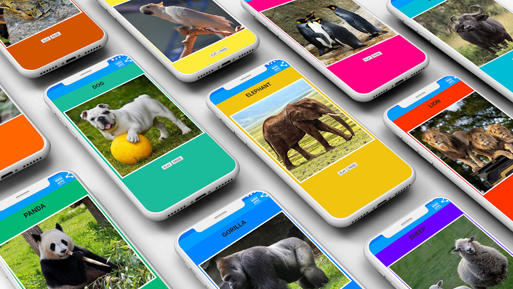 Run android online APK Real Sound Of Animals from MyAndroid or emulate Real Sound Of Animals using MyAndroid
