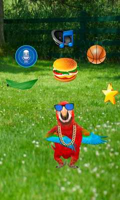 Emulate Android APK Real Talking Parrot Emulate Android APK Real Talking Parrot