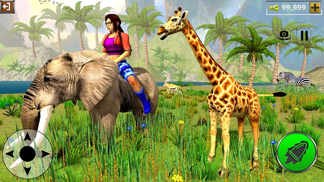Run android online APK Real Wild Animal Hunting Game from MyAndroid or emulate Real Wild Animal Hunting Game using MyAndroid