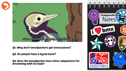 Emulate iPhone app Rebound: Beating Concussions using MyAndroid Emulate iPhone app Rebound: Beating Concussions using MyAndroid