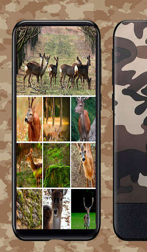 Run android online APK Reclamo de Corzo from MyAndroid or emulate Reclamo de Corzo using MyAndroid
