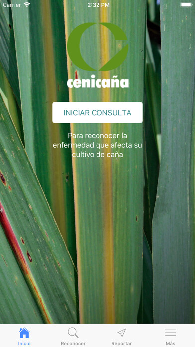Emulate iPhone app Reconocimiento de enfermedades using MyAndroid Emulate iPhone app Reconocimiento de enfermedades using MyAndroid