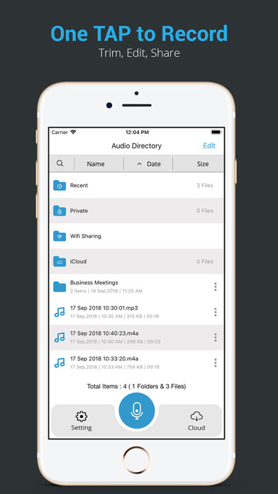 Emulate iPhone app Recorder Pro : Voice Memo using MyAndroid Emulate iPhone app Recorder Pro : Voice Memo using MyAndroid