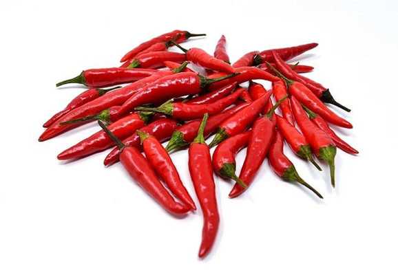 Emulate Android APK Red Chilli For Health Emulate Android APK Red Chilli For Health