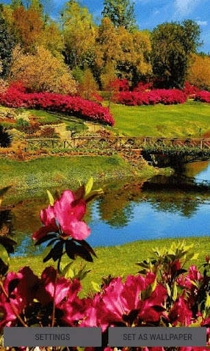 Run android online APK Red Flowers Park LWP from MyAndroid or emulate Red Flowers Park LWP using MyAndroid