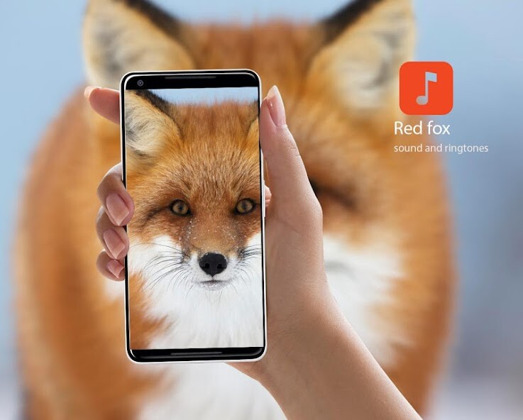 Run android online APK Red fox Sound Effects from MyAndroid or emulate Red fox Sound Effects using MyAndroid