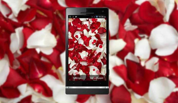Emulate Android APK Red Rose HD LiveWallpaper Emulate Android APK Red Rose HD LiveWallpaper